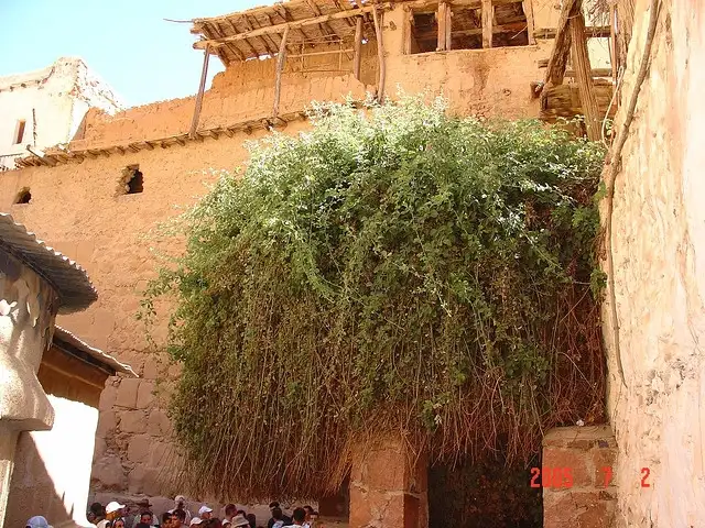 St. Catherine Day Trip from Sharm Marina